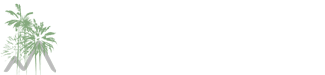 Dianna Williams Design | How can we help you realize your dream?